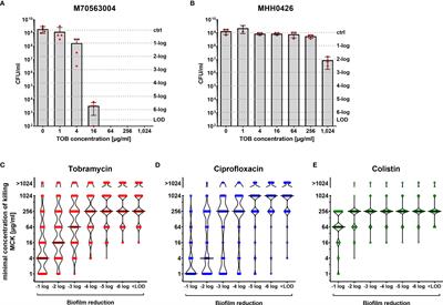 Pseudomonas aeruginosa Is More Tolerant Under Biofilm Than Under Planktonic Growth Conditions: A Multi-Isolate Survey